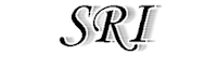 戦略的RPA研究所(SRI)